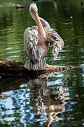 日版Xbox Series X|S主机再次涨价 8月15日起实施